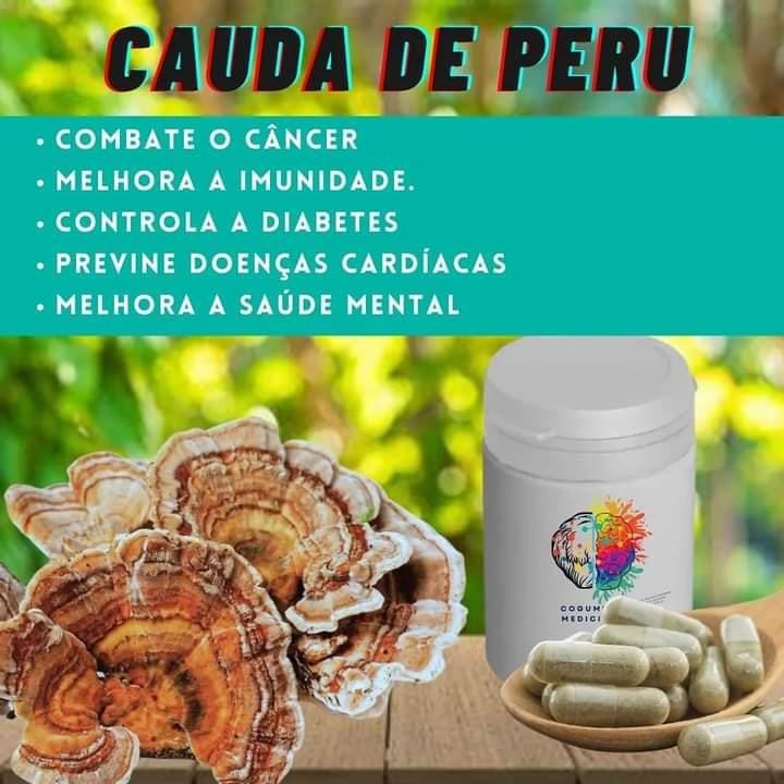 Extrato de Cogumelo Cauda de Peru (50 cápsulas de 400mg)