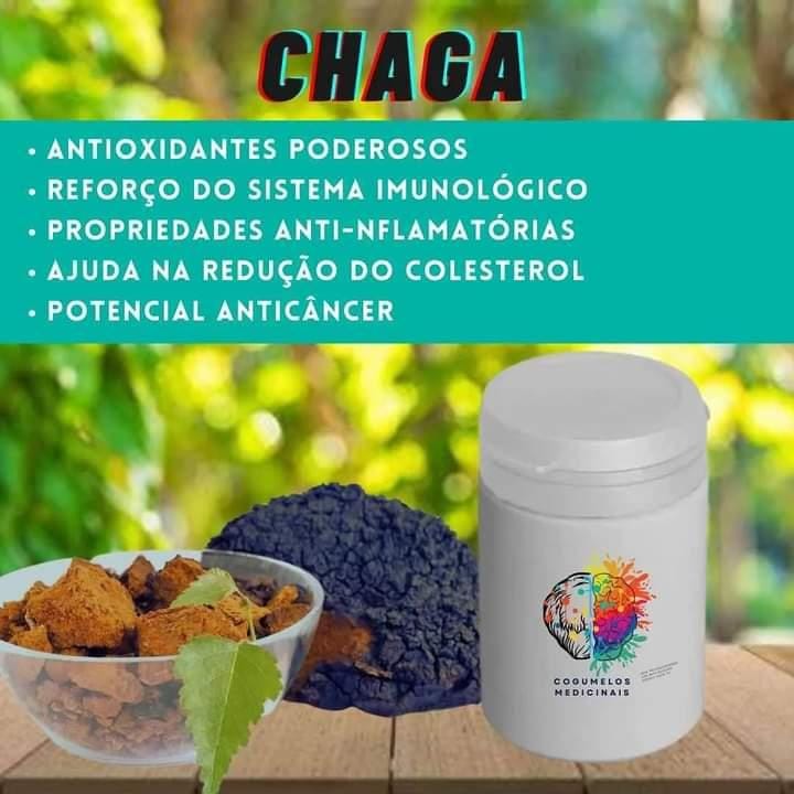 Extrato de Cogumelo Chaga (50 cápsulas de 400mg)