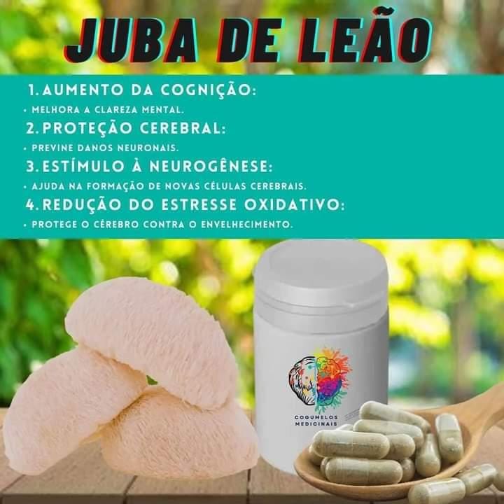 Extrato de Cogumelo Juba de Leão (50 cápsulas de 400mg)